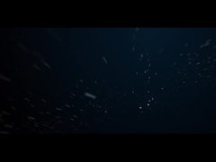 আইপি 66 আউটডোর এলইডি ল্যান্ডস্কেপ লাইট 10W সিওবি ট্রি গার্ডেন স্পাইক লাইটিং