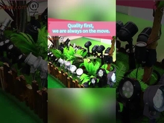 কাস্টমাইজেশন বিকল্প