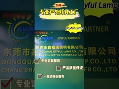 কেন 100 জনেরও বেশি ক্লায়েন্ট Joyful Lamp এর উপর ভরসা করে?