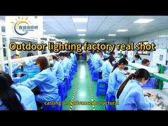 ল্যান্ডস্কেপ আলোতে গাছপালা আলোকিত করার উপায়