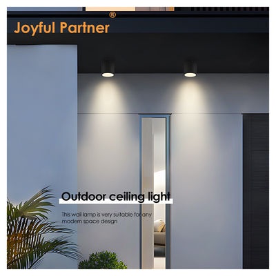 আইপি 65 সিলিং লাইট সারফেস মাউন্টড ডাউনলাইট ওয়াটারপ্রুফ স্পট লাইট 6000 কে এসএমডি হোয়াইট এলইডি ডাউনলাইট