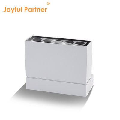 উপরে এবং নীচে আলোকসজ্জা আধুনিক এলইডি ওয়াল মাউন্ট গার্ডেন উঠোন আলো 10W কালো সাদা হাউজিং রঙ জলরোধী আইপি 65