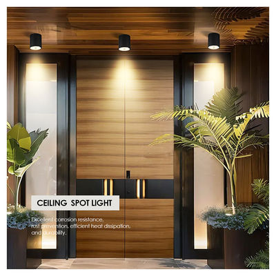 12W COB LED ডাউনলাইট সিলিন্ডার ওয়াল মাউন্ট লাইট কমপ্যাক্ট ডিজাইন সারফেস ফিক্স আউটডোর অ্যাপ্লিকেশন জন্য