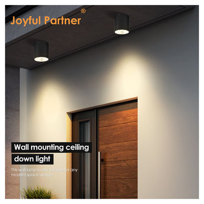 15W COB LED ডাউনলাইট সিলিন্ডার ওয়াল মাউন্ট লাইট কমপ্যাক্ট ডিজাইন সারফেস ফিক্স আউটডোর জন্য