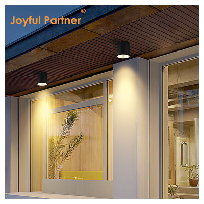 LED ডার্ক সিলিন্ডার ওয়াল মাউন্টড আলোর জন্য বহিরঙ্গন বাগান ওয়াল ডেলাইট COB আল উপাদান OEM পরিষেবা সহ