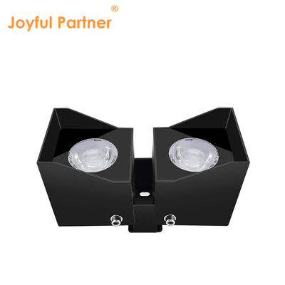 ল্যান্ডস্কেপ স্পট লাইটিং আউটডোর ডিসি১২ভি এসি২২০ভি ২*৩ডব্লিউ আইপি৬৫ ওয়াটারপ্রুফ সংকীর্ণ বিম অ্যাঙ্গেল বৈশিষ্ট্যযুক্ত পণ্য